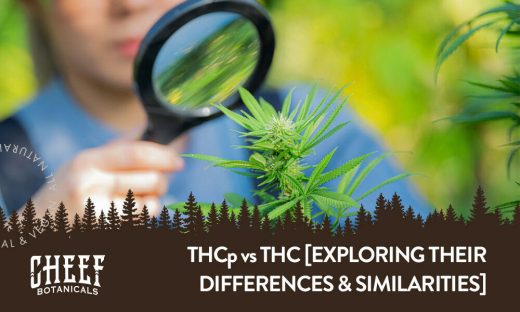 THC vs THCP: Exploring the Variations